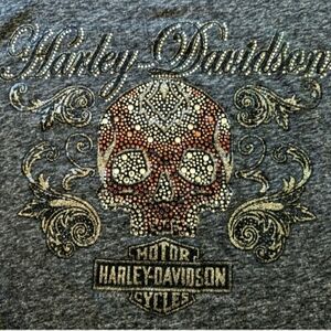 Harley Los Cabos Rhinestone Skull V Neck T-shirt